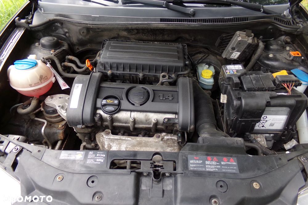 Seat Ibiza - 18
