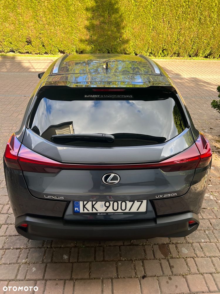Lexus UX 250h GPF Business 2WD - 10