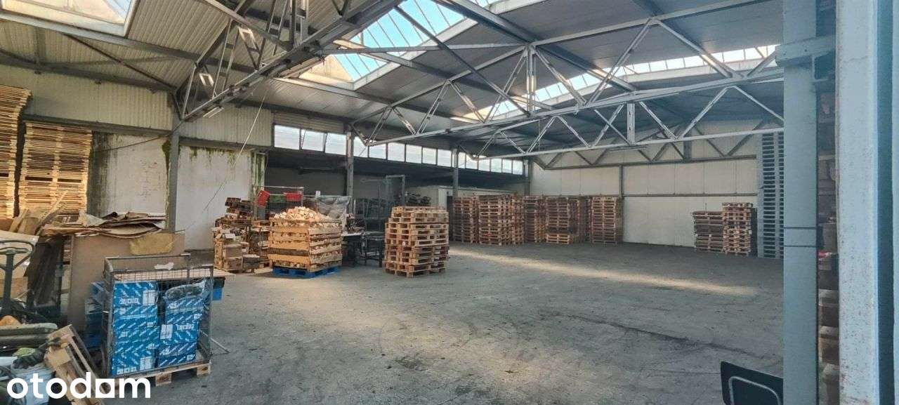 Hale 1520m2, Piotrków Trybunalski - Pełny obrazek: 2/3