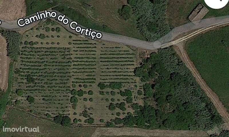 Terreno agricola de 7400m² Calhandriz - lisboa - Grande imagem: 2/12