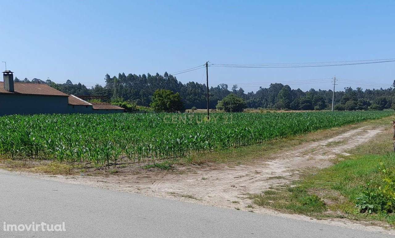 Terreno - Estarreja - Grande imagem: 3/6