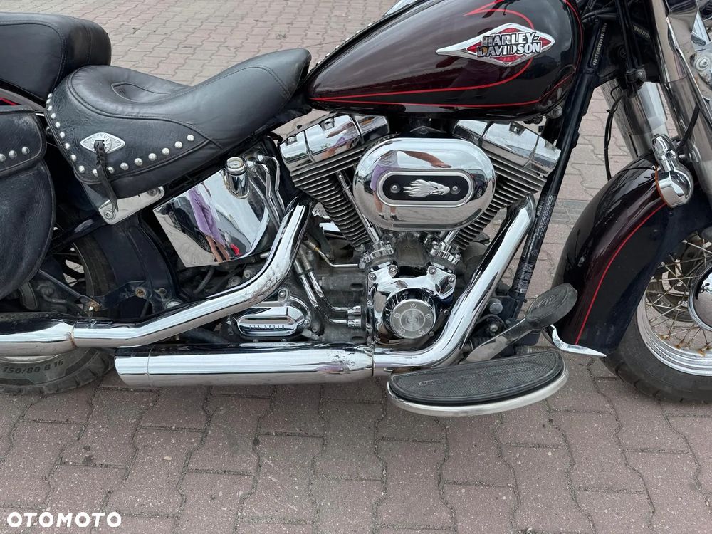 Harley-Davidson Softail - 4