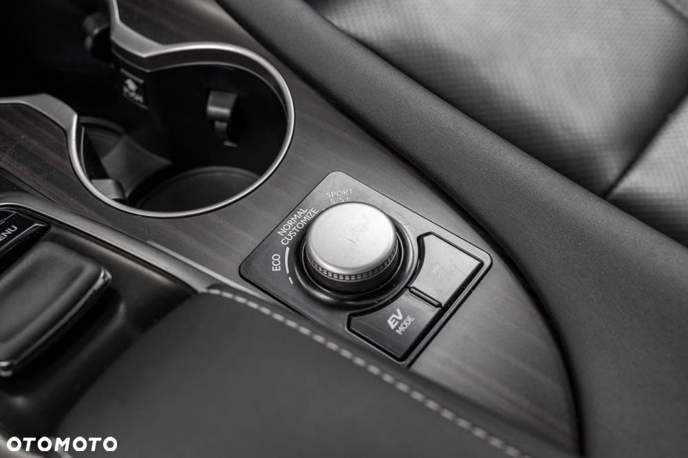 Lexus RX 450h (hybrid) Luxury Line - 25