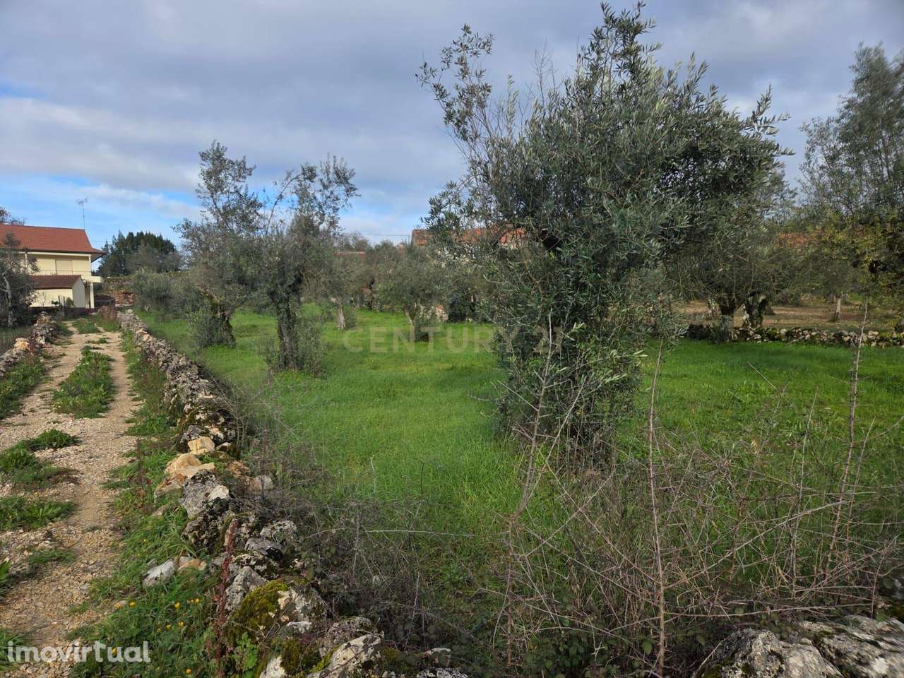 Terreno para construção || Ansião || Casais Da Granja - Grande imagem: 3/18