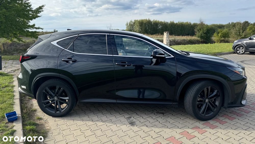 Lexus NX 350h Prestige AWD - 7