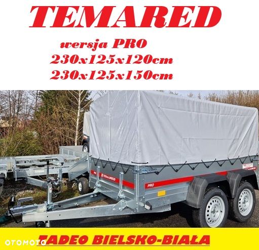 TEMARED PRO 2312 230x125x40 1 oś - 4