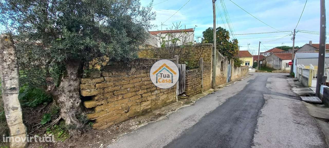 Terreno à Venda: Oportunidade Única em Pocariça, Cantanhede - Grande imagem: 2/15