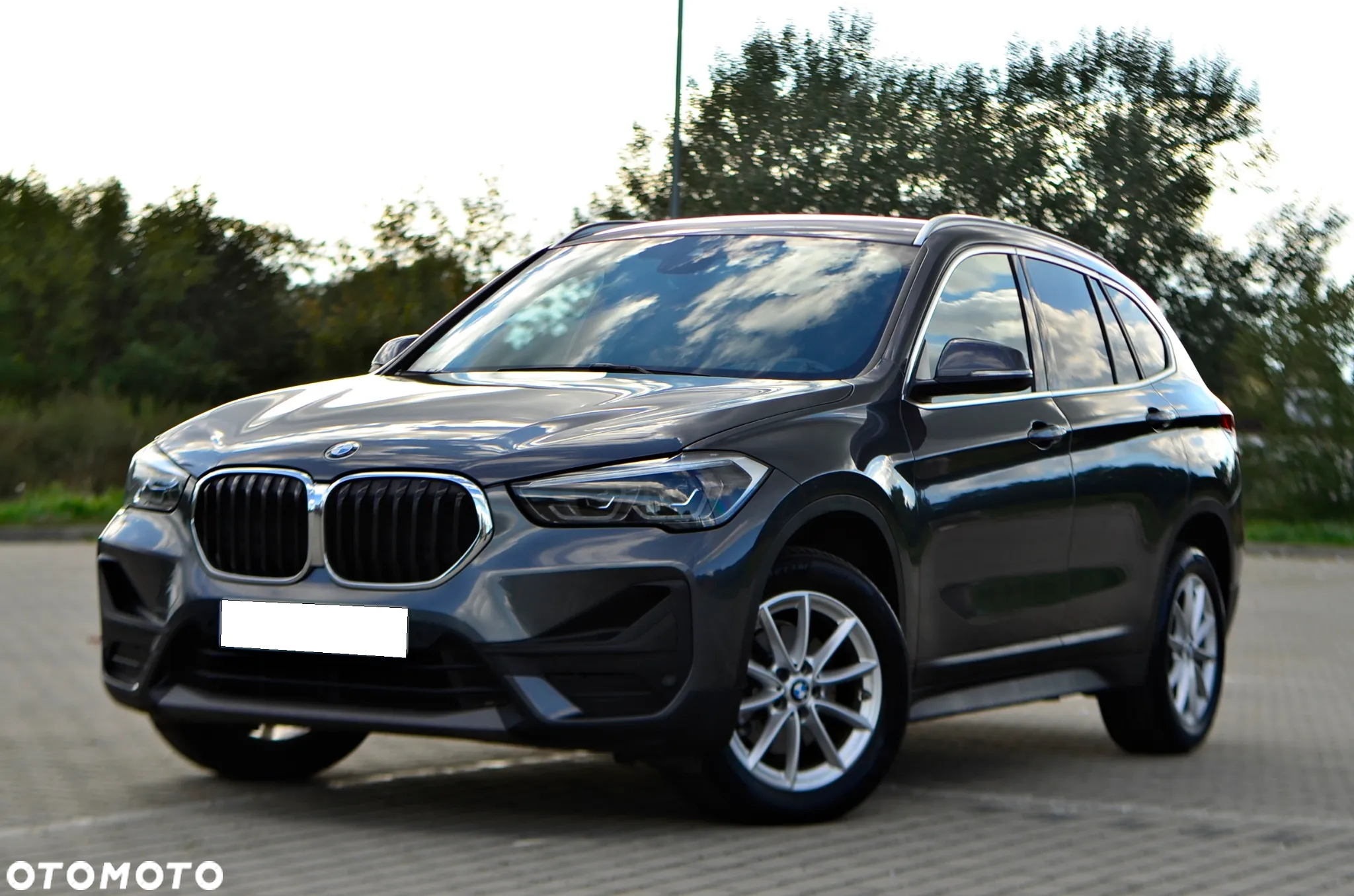 BMW X1 sDrive18d Business Edition - 2