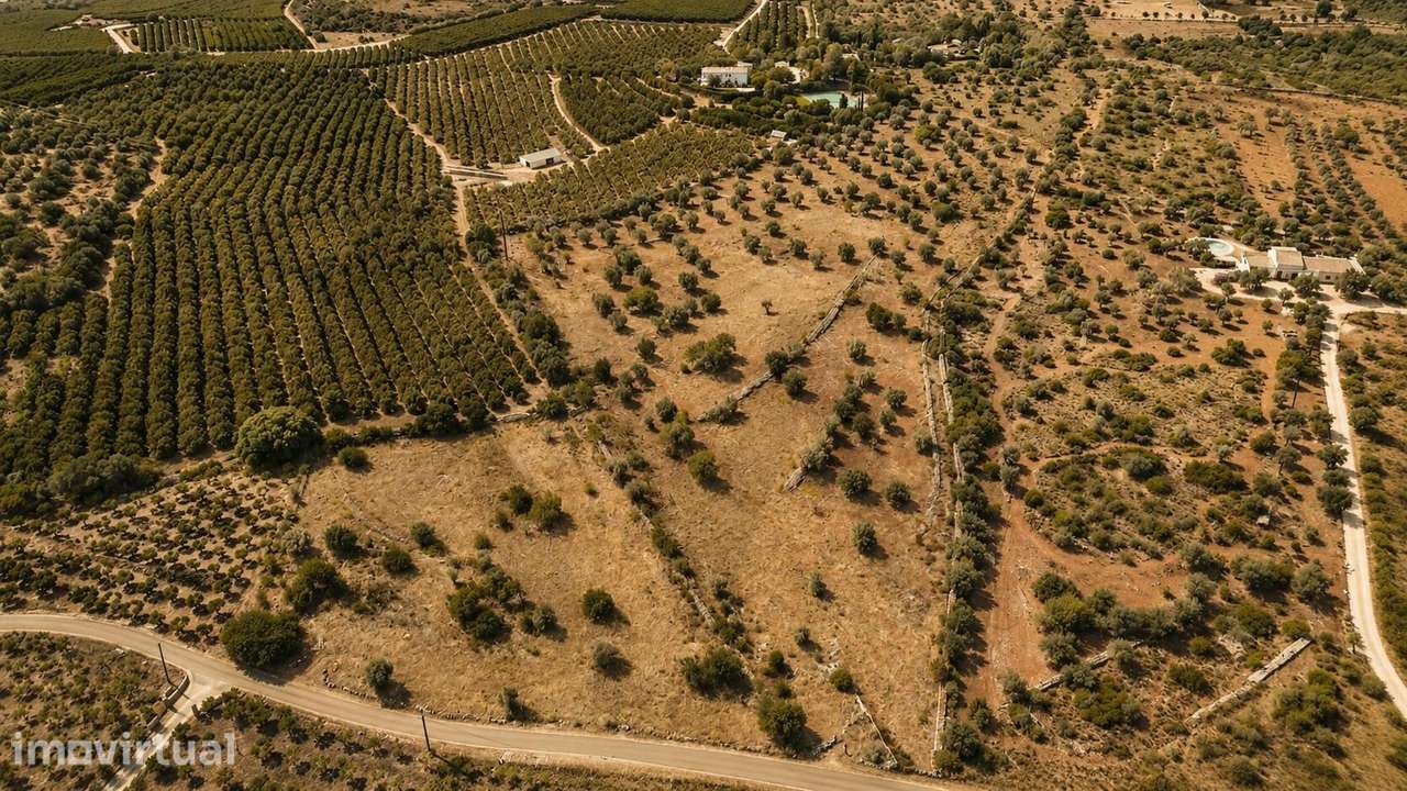 Terreno agrícola com 42.366 m2 em Silves - Grande imagem: 4/17