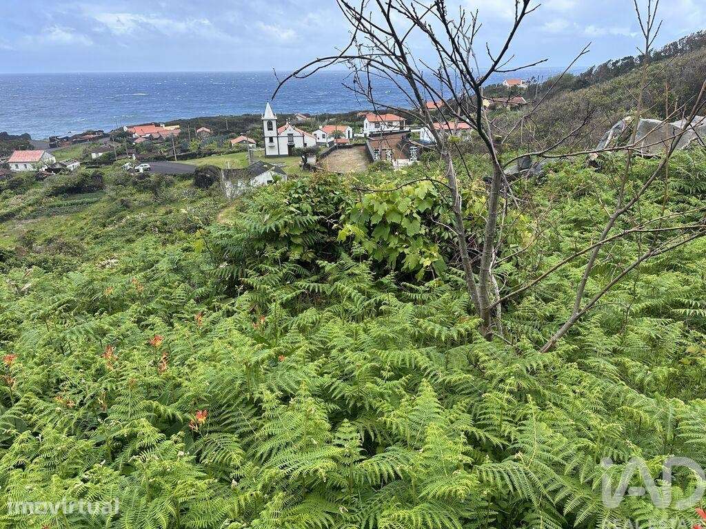 Prédio em Norte Grande de 21,42 m2 - Grande imagem: 5/8