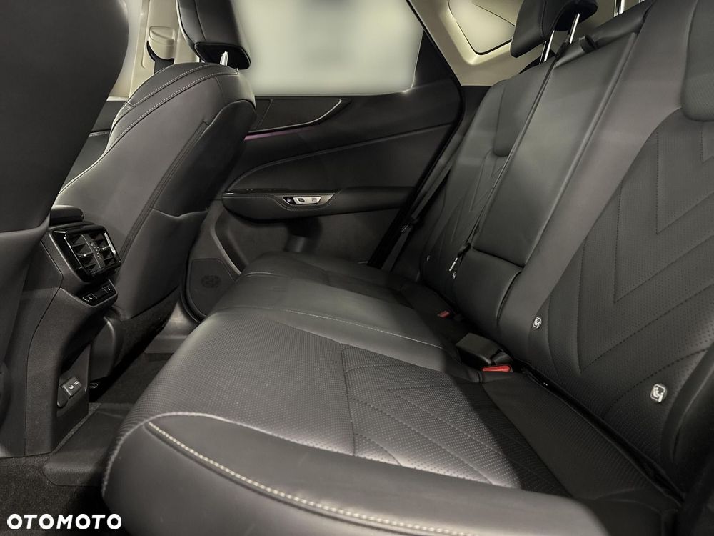 Lexus NX - 10