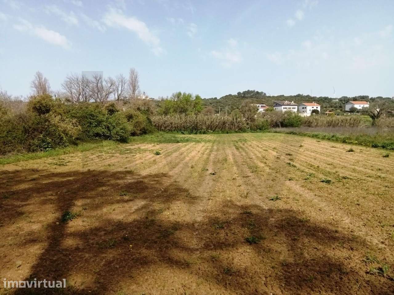 Terreno Agrícola em Ótima Localização com 3500 m2 Junto à Praia Ribeir - Grande imagem: 4/7