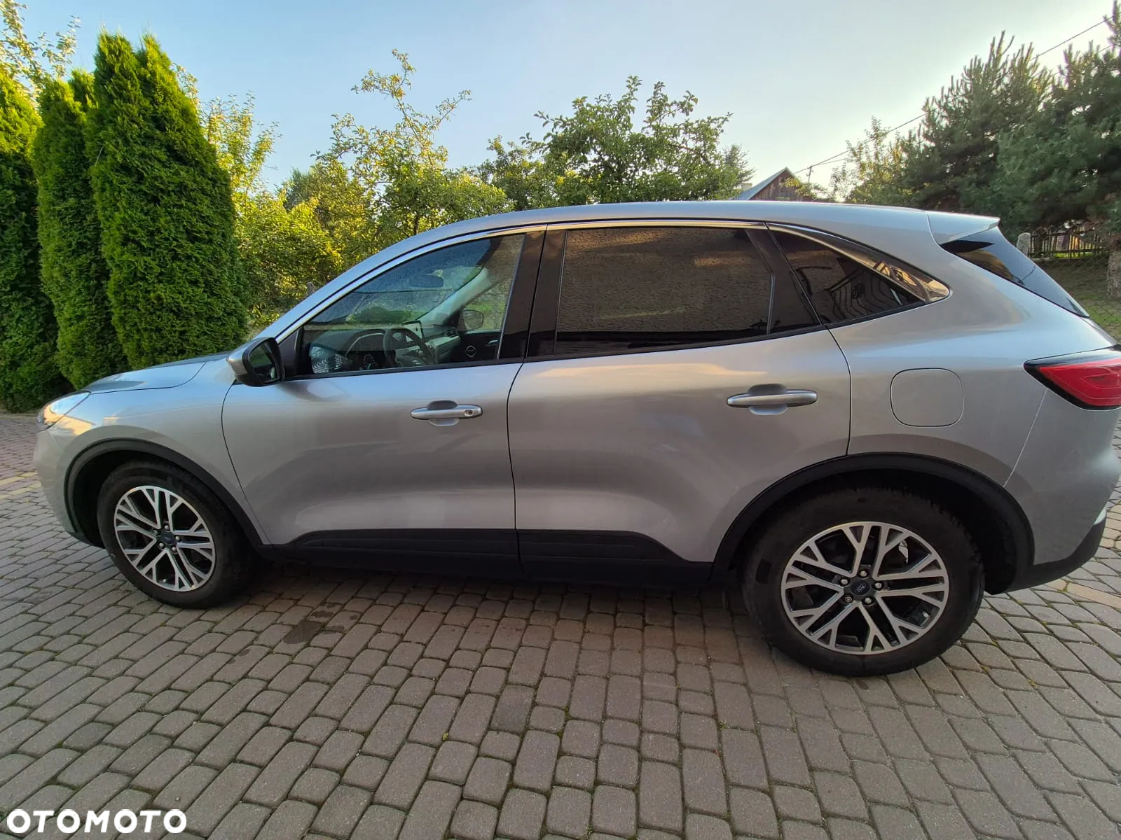 Ford Escape 1.5 EcoBoost AWD SE - 8
