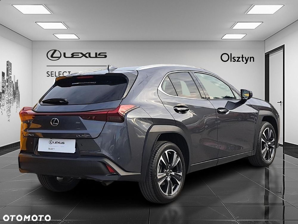 Lexus UX 250h GPF Business 2WD - 7
