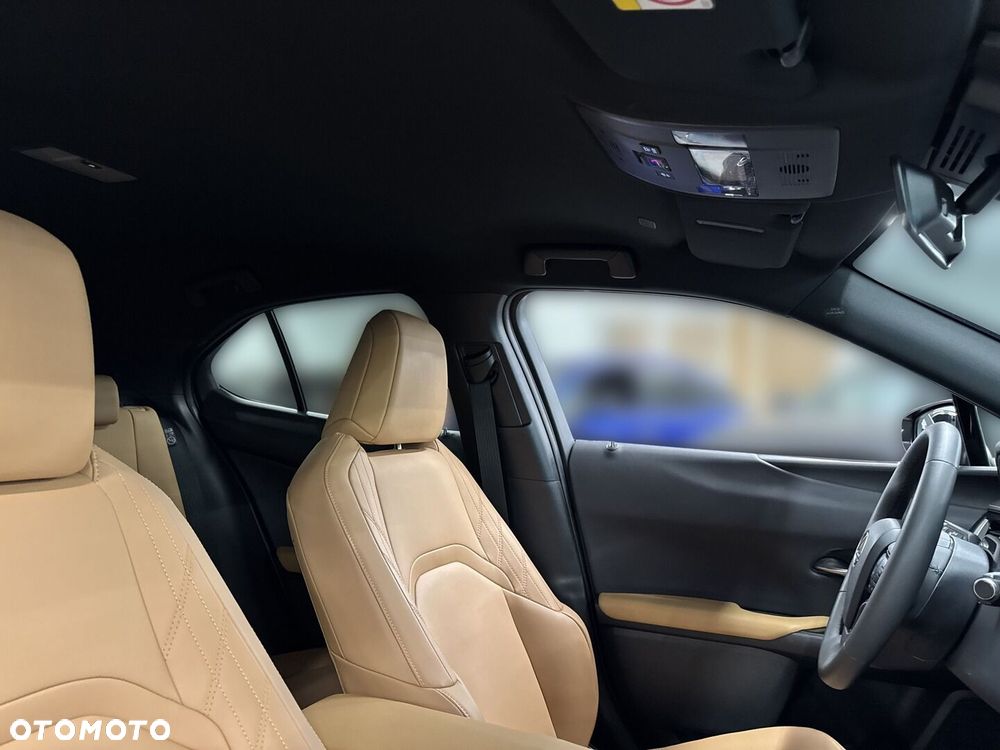 Lexus UX 300h F Sport Design AWD - 29