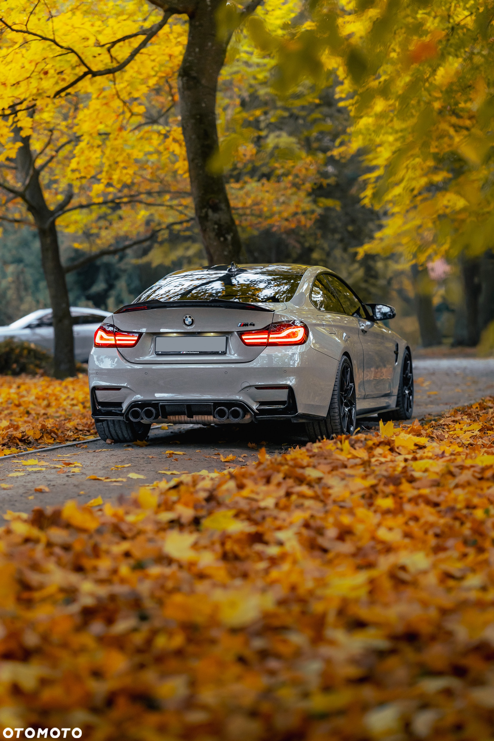 BMW M4 Competition GPF DKG - 19