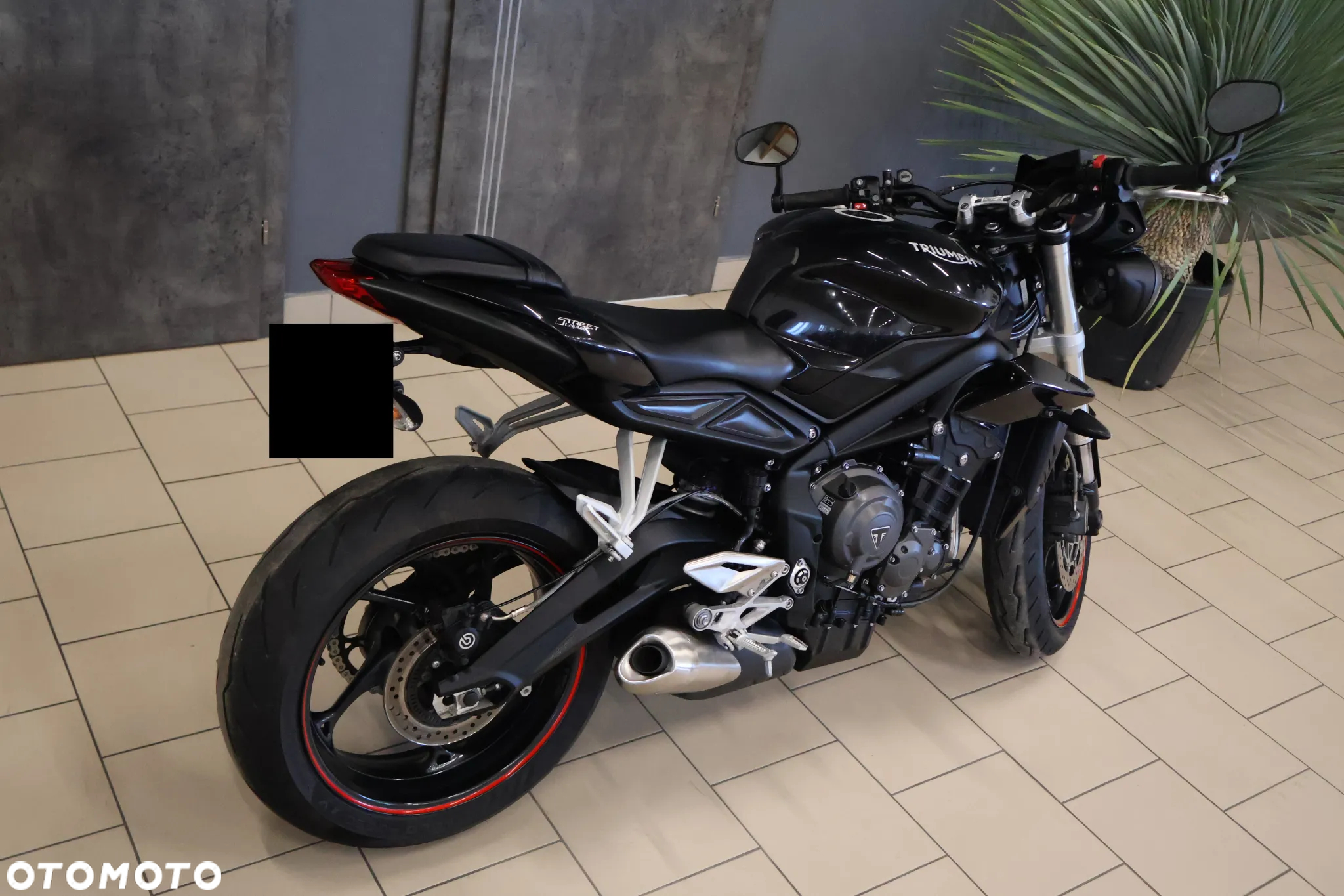 Triumph Street Triple - 3