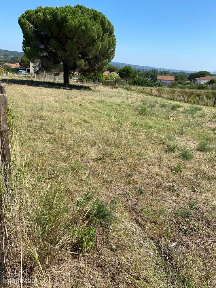 Terreno de 8.240 M2 com 2 Parcelas Urbanas - Grande imagem: 2/11