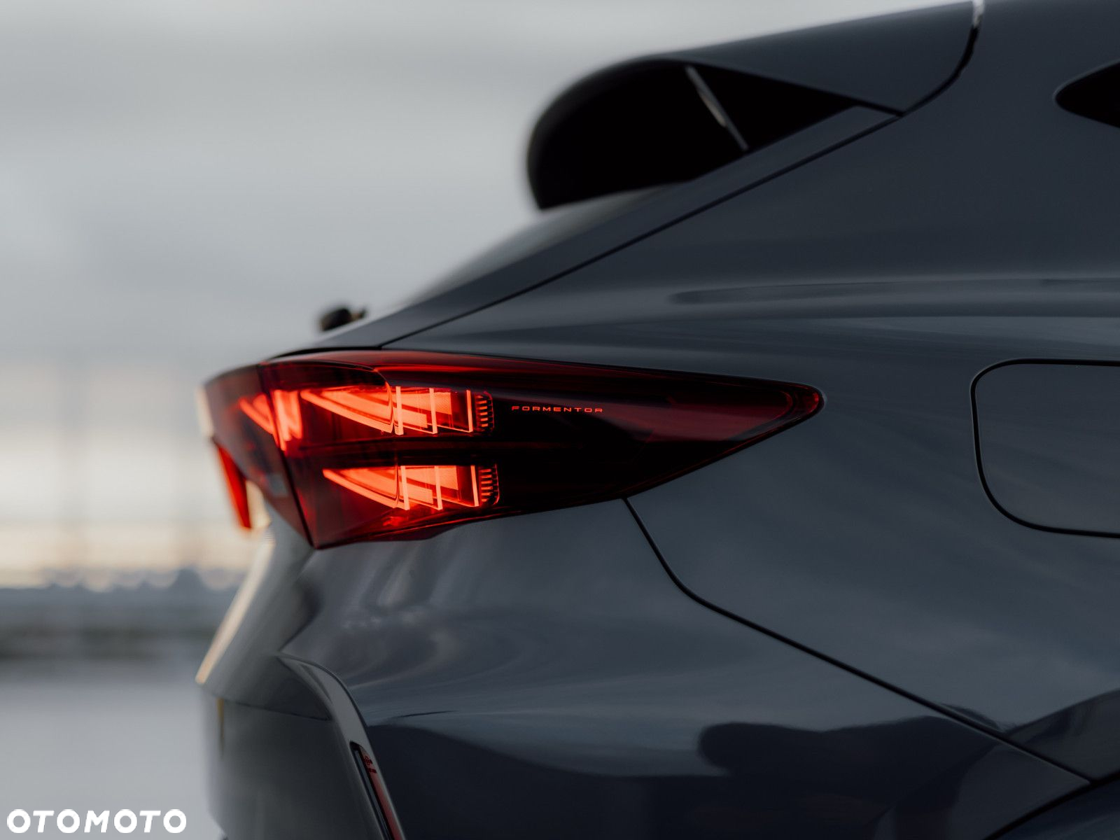 Cupra Formentor - 23