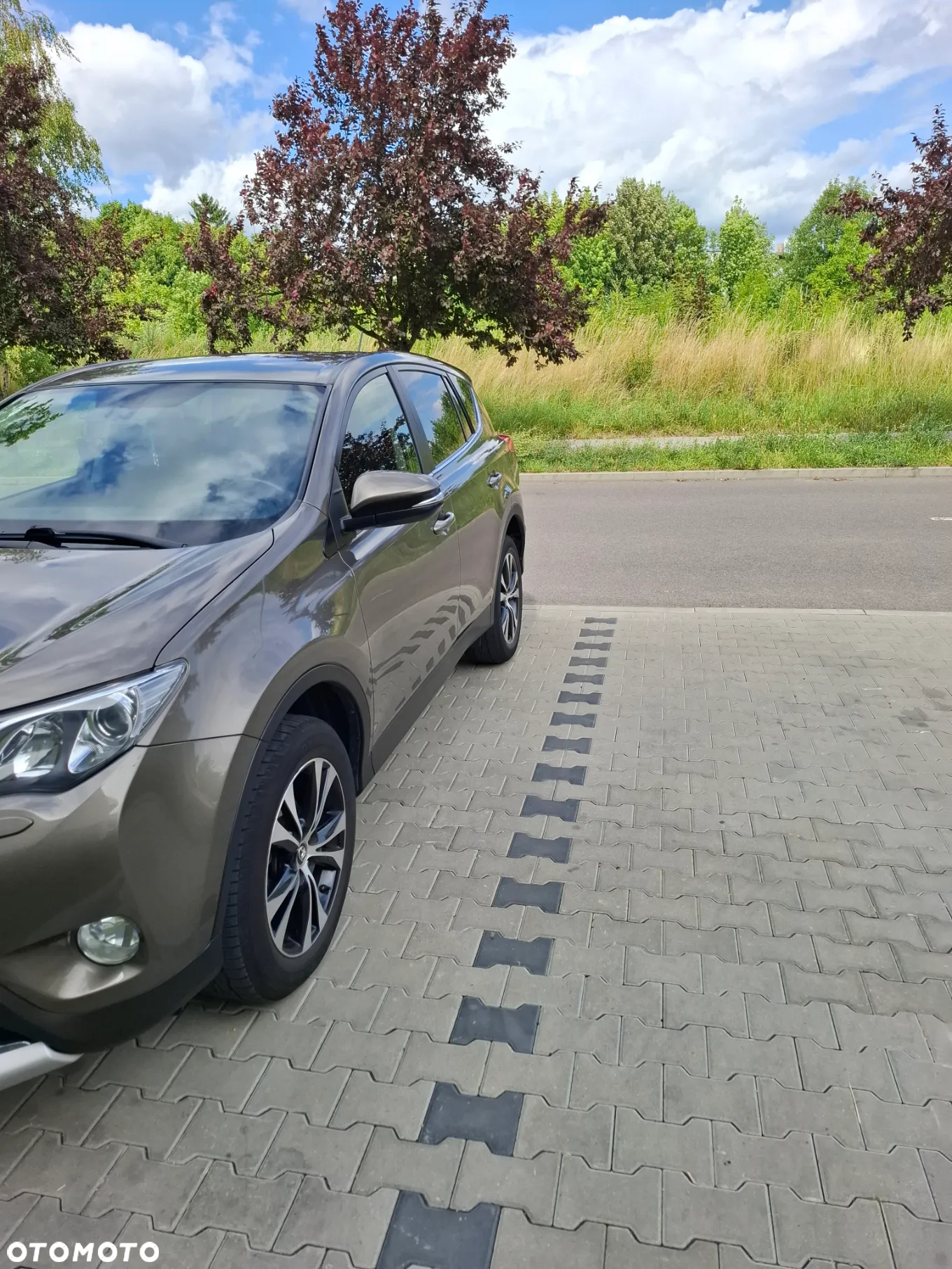 Toyota RAV4 2.0 D-4D Premium - 2