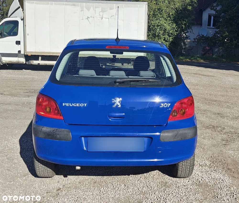 Peugeot 307 2001 photo 5