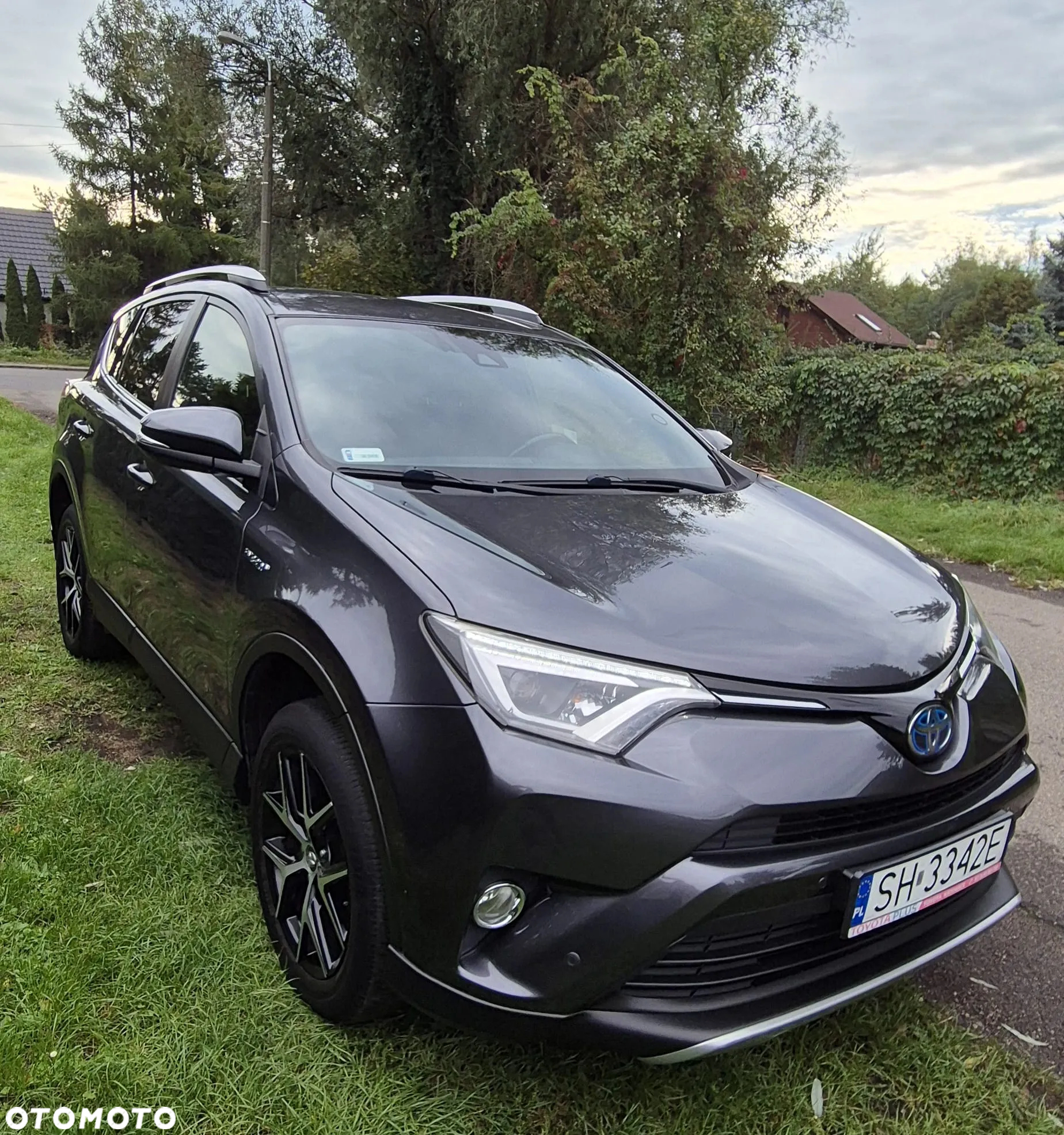 Toyota RAV4 Hybrid Platinum 4x2 - 5