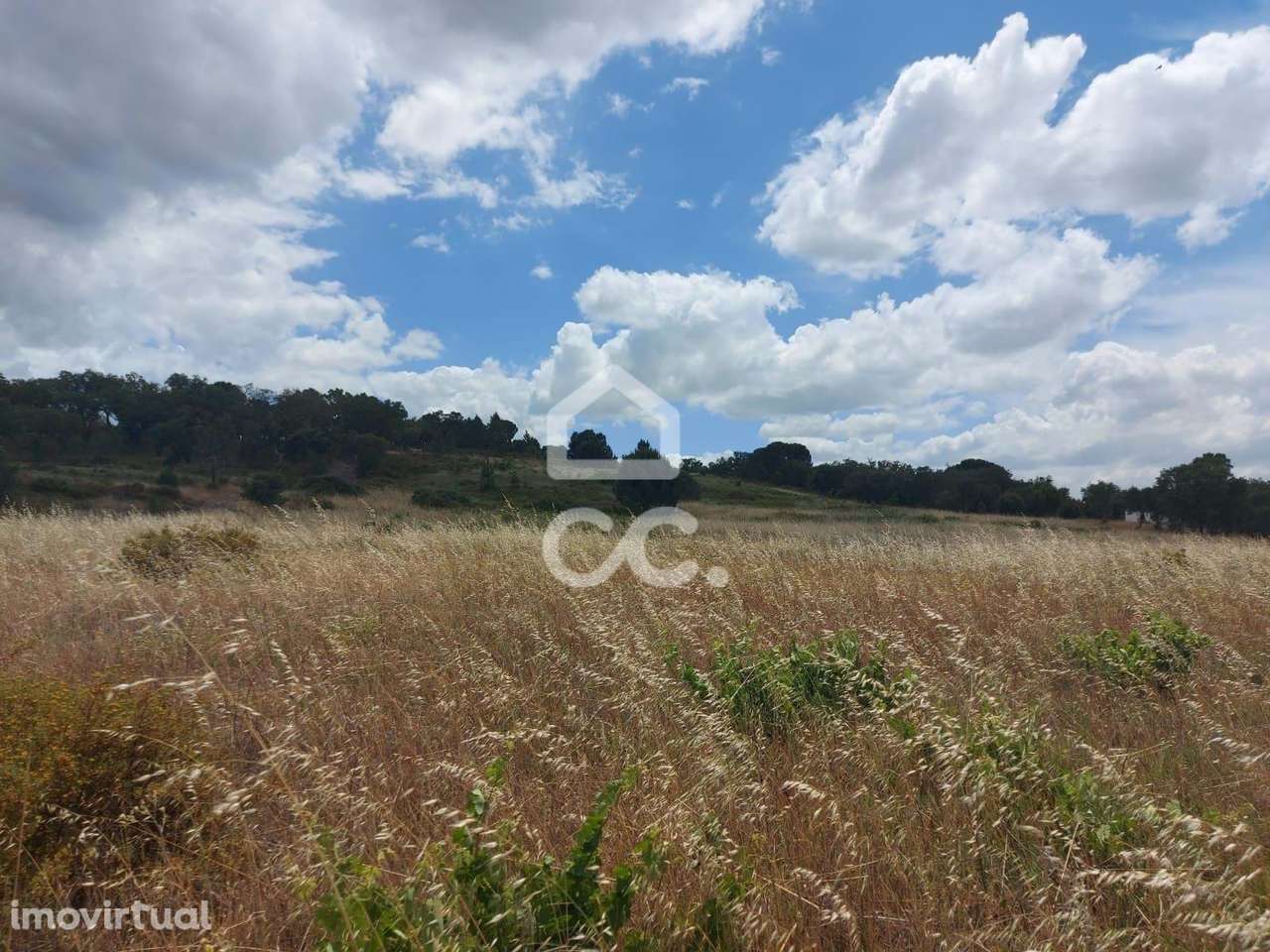 Terreno rústico com cerca de 1,59 hectares | Cabeção (Mora) - Grande imagem: 2/8