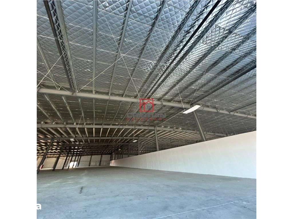 Inchiriere depozithalaspatiu industrialshowroom Afumati - DN2 - Dorall - Imagine principală: 4/20