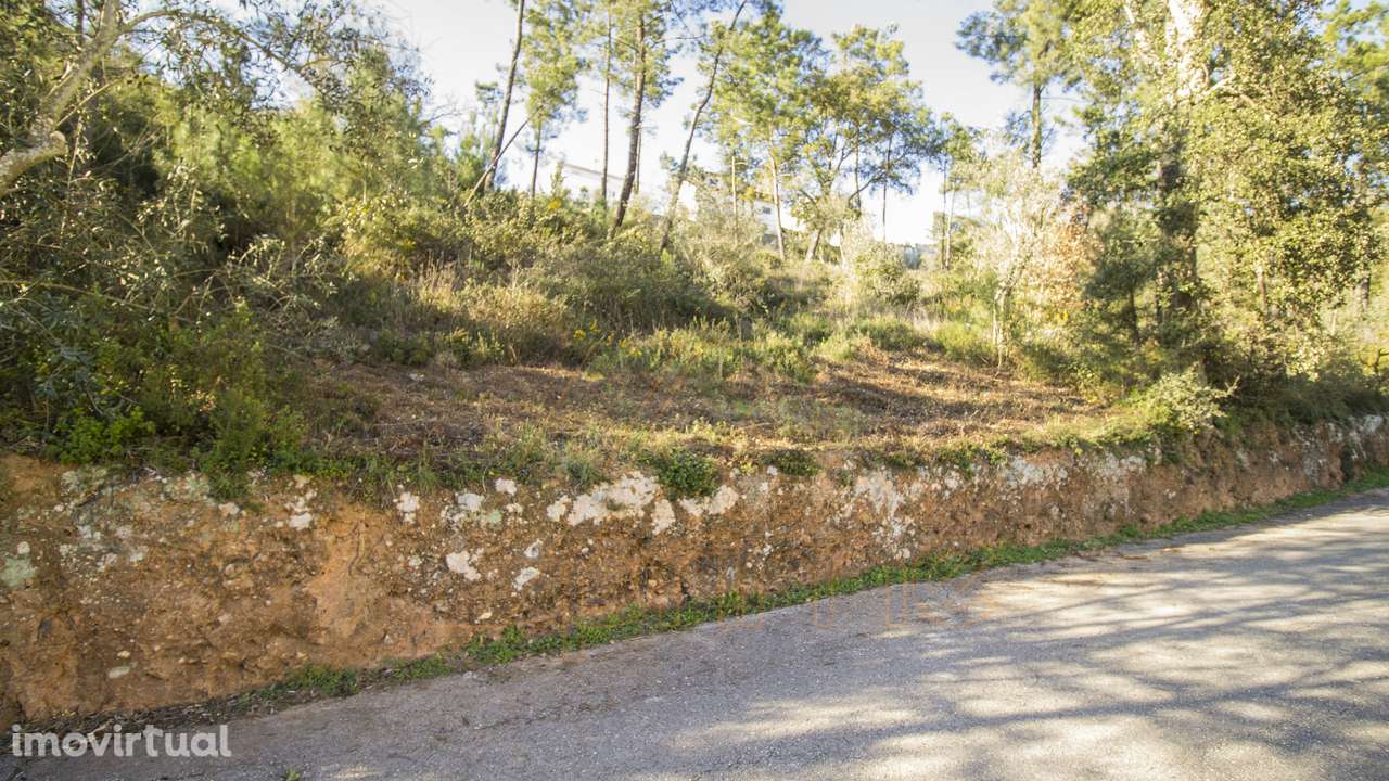 Terreno , Ceira, Coimbra / Venda - Grande imagem: 2/11
