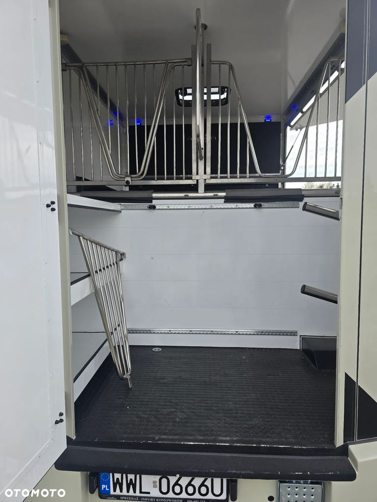 Opel Movano-Koniowóz - 20