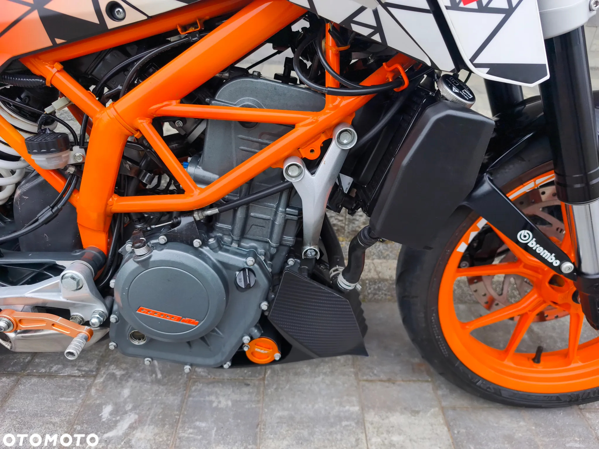 KTM Duke - 8