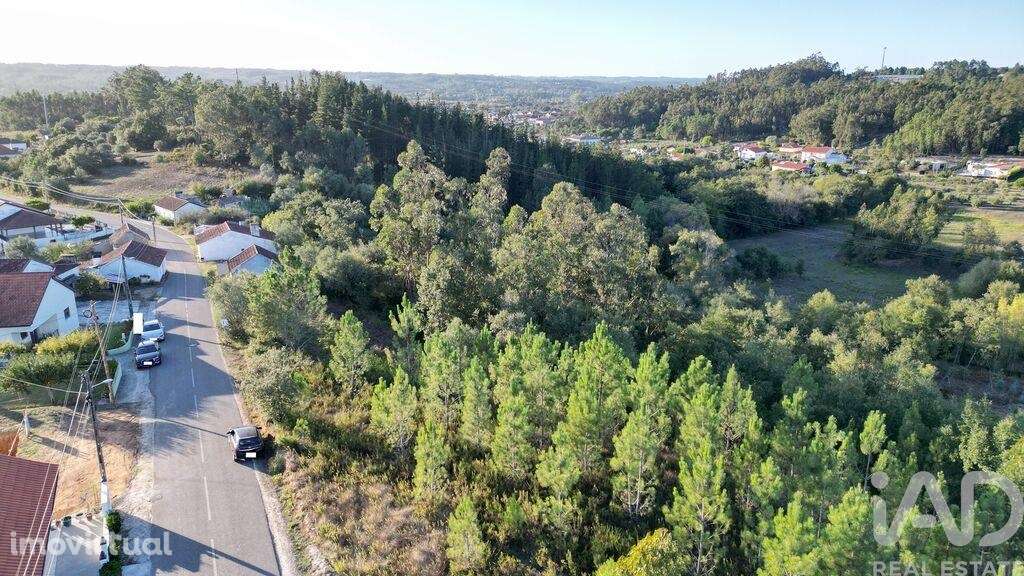 Terreno para construção em Pelariga - Grande imagem: 2/22
