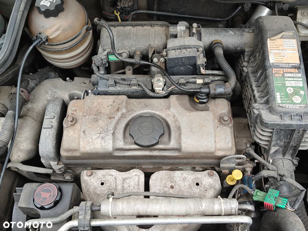Peugeot 206 plus 1.1 Presence Euro5 - 15