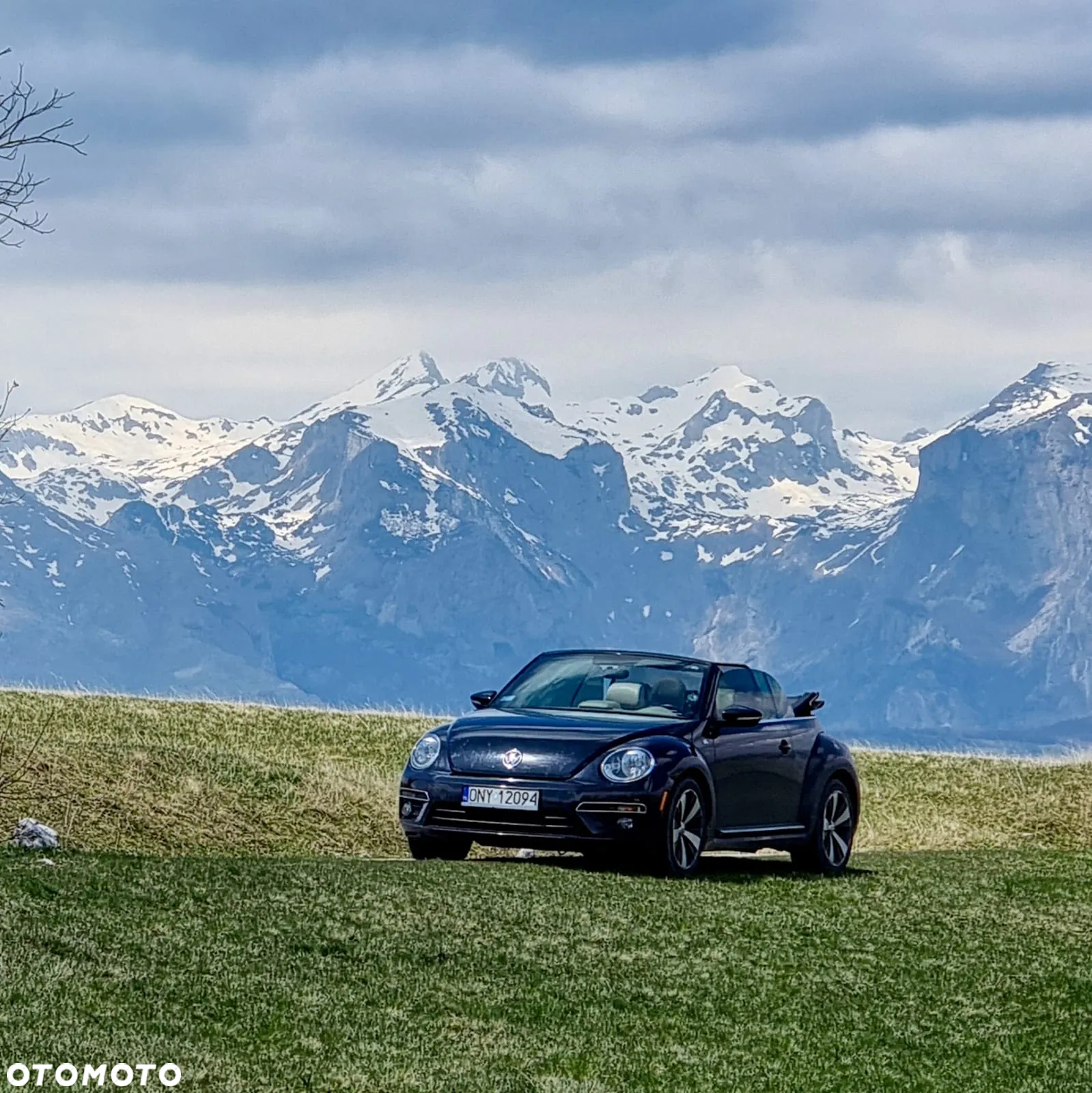 Volkswagen Beetle 2.0 TSI Sport DSG - 8