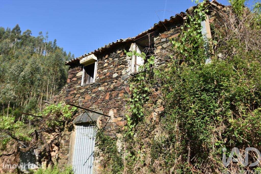 Casa de Campo em Pampilhosa da Serra - Grande imagem: 4/40