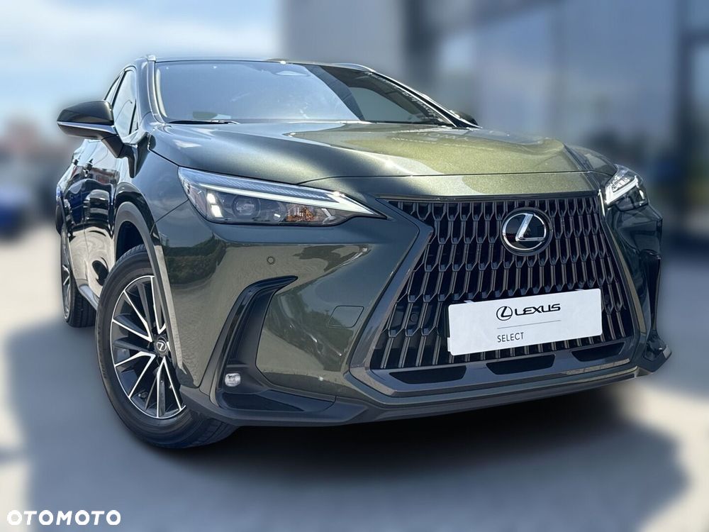Lexus NX - 20