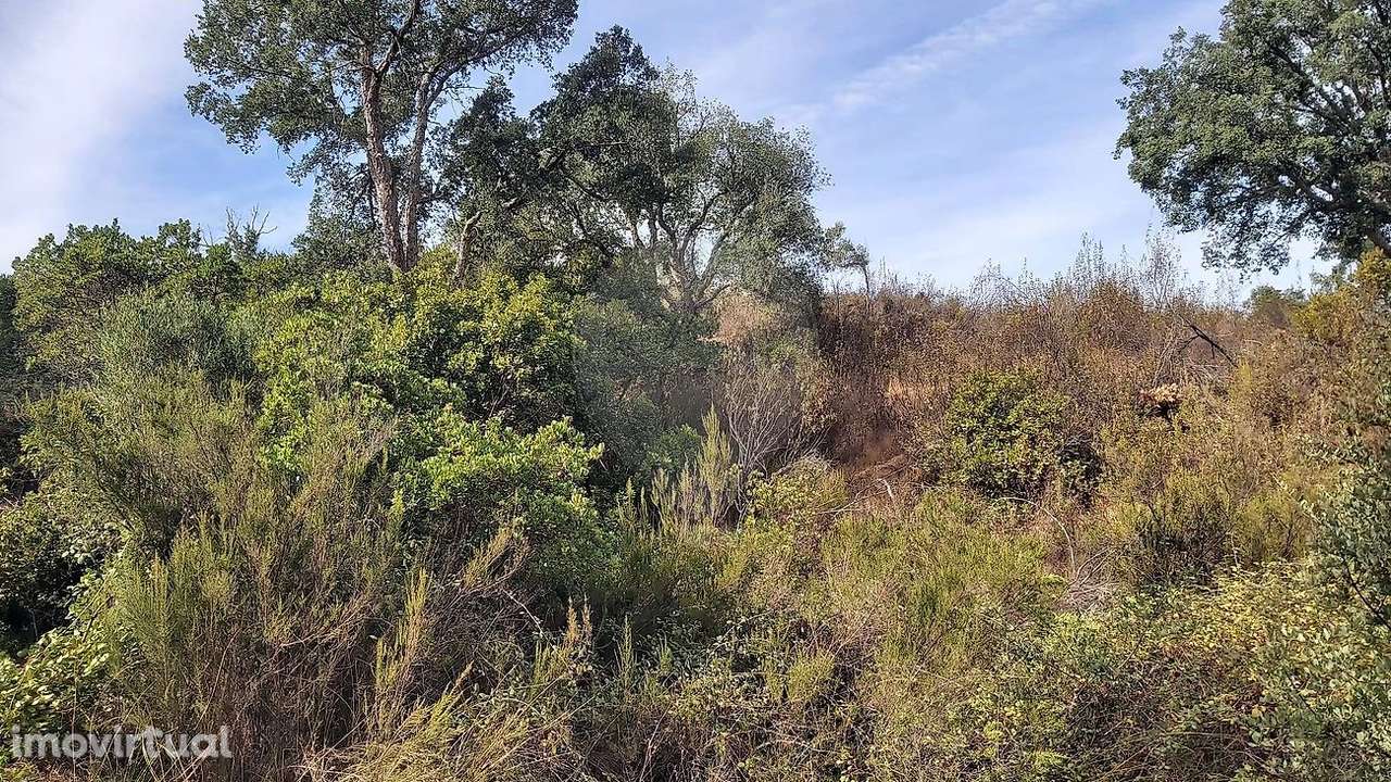 Terreno  para venda - Grande imagem: 3/9