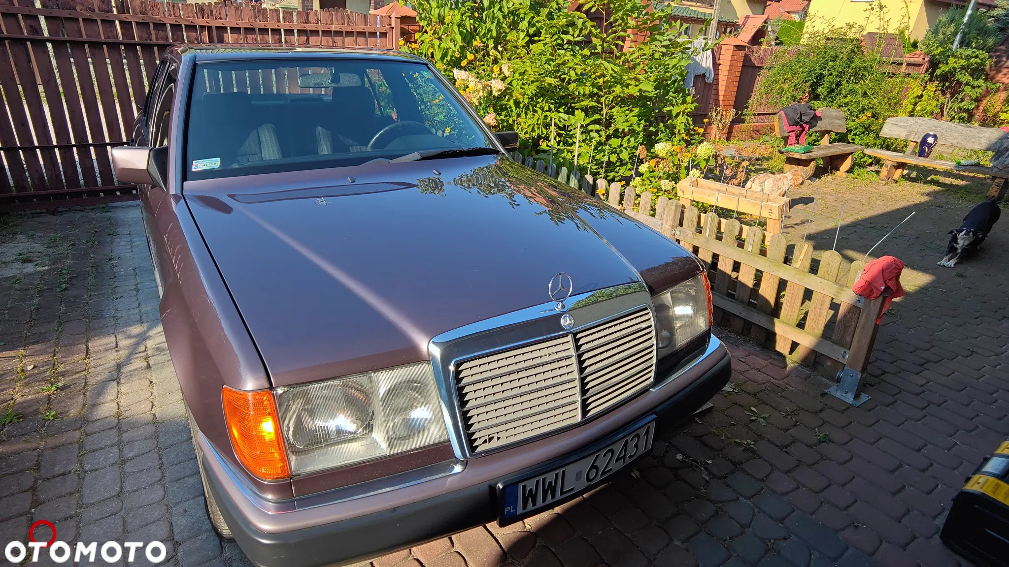 Mercedes-Benz W124 (1984-1993) - 3