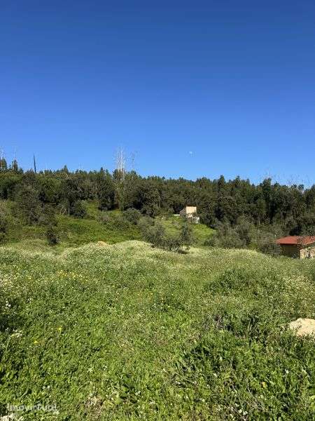 Terreno Rustico Monchique - Grande imagem: 5/5