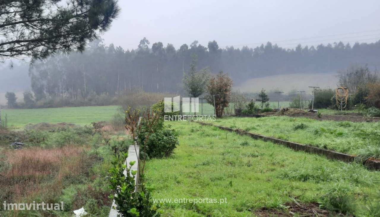 Venda de Terreno com 20000 m2, Macieira da Maia, Vila do Conde - Grande imagem: 2/12