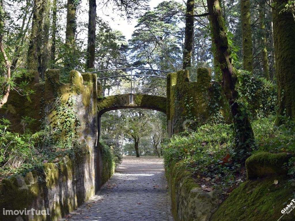 Terreno urbano 3066 m², com ruína centenária e vista monumentos, em... - Grande imagem: 2/20