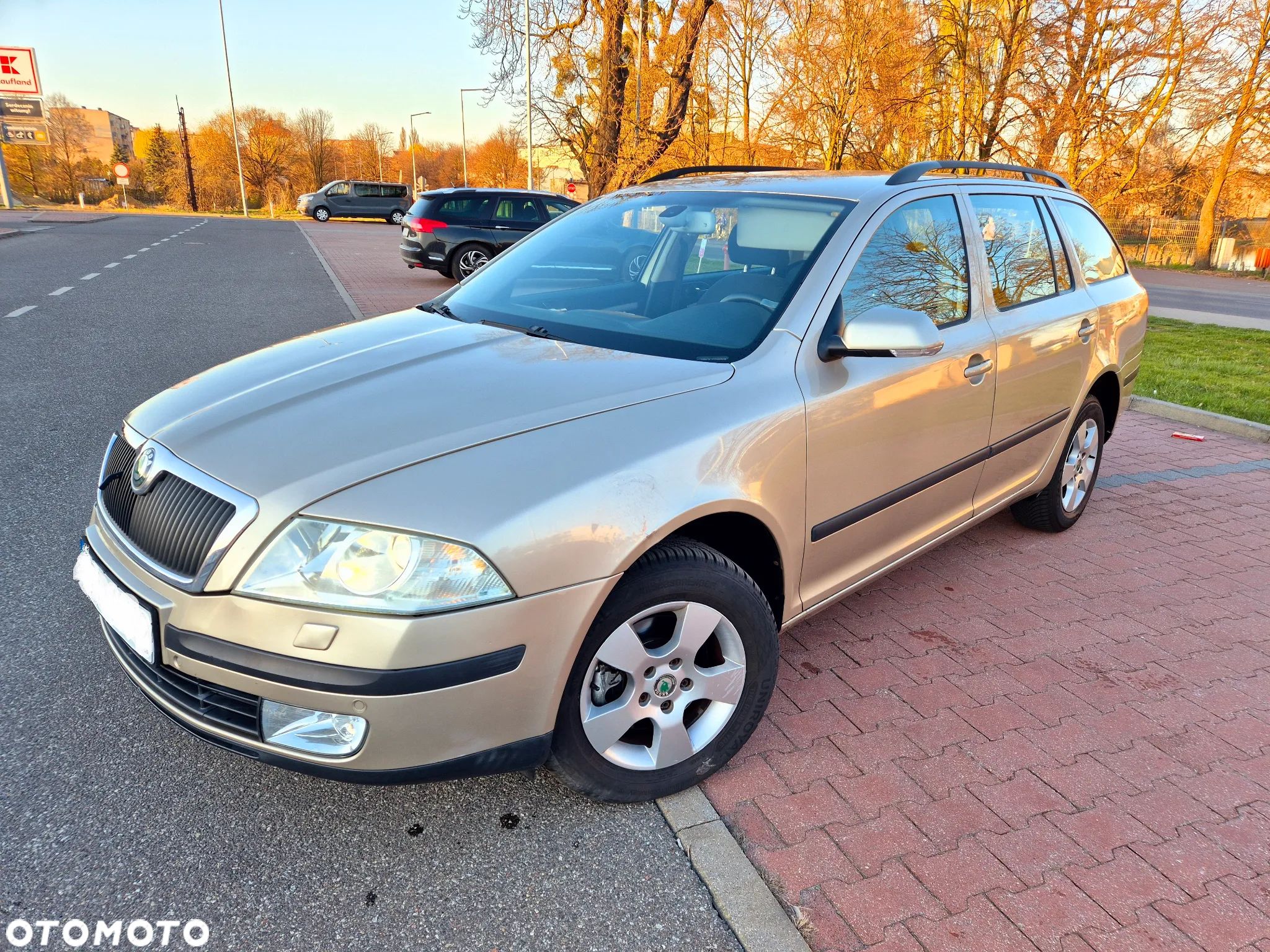 Skoda Octavia 1.9 TDI 4x4 Elegance - 1