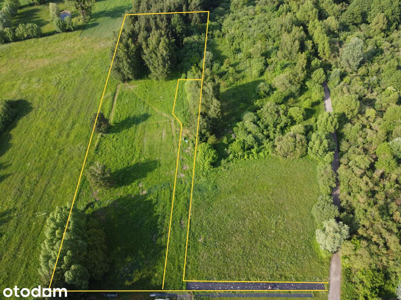 Działka budowlana 9 209 m² | Nekla | warunki zabudowy | prywatny las | - Pełny obrazek: 2/6
