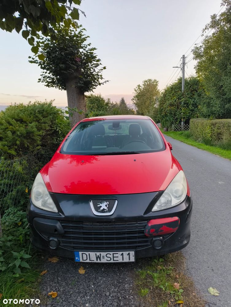 Peugeot 307 - 5