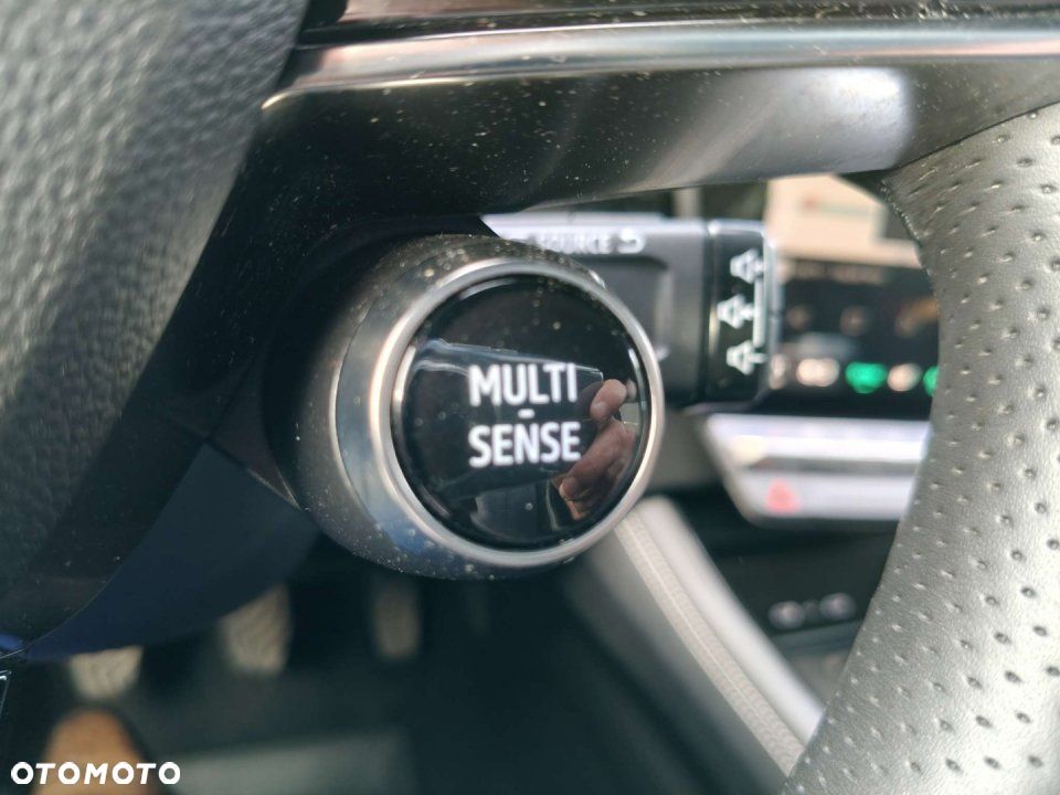 Renault Austral - 12