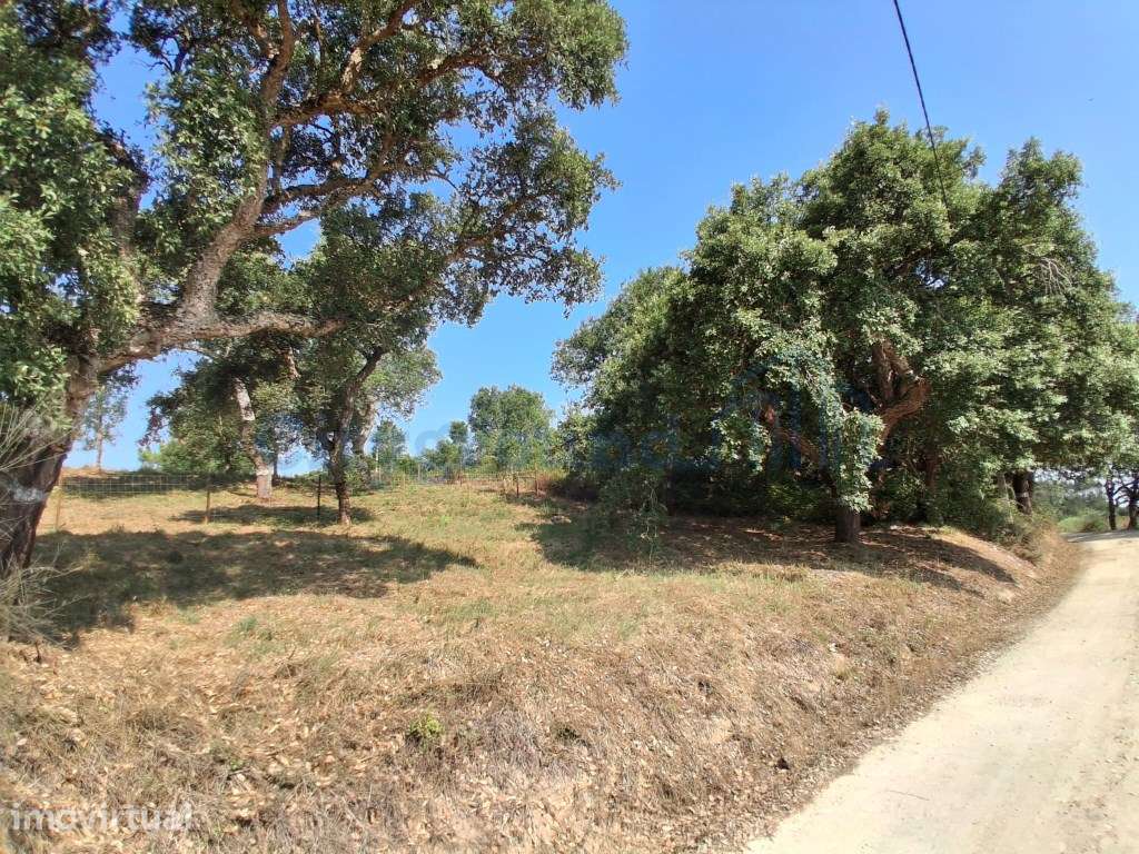 Lote para construção em A-dos-Negros com vista sobre o campo - Grande imagem: 2/10