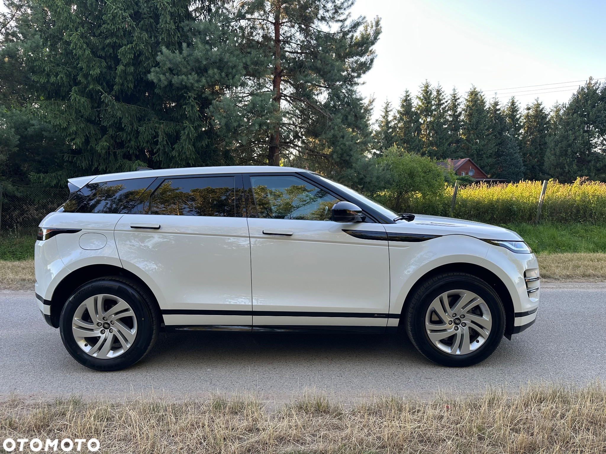 Land Rover Range Rover Evoque 2.0TD4 SE Dynamic - 13