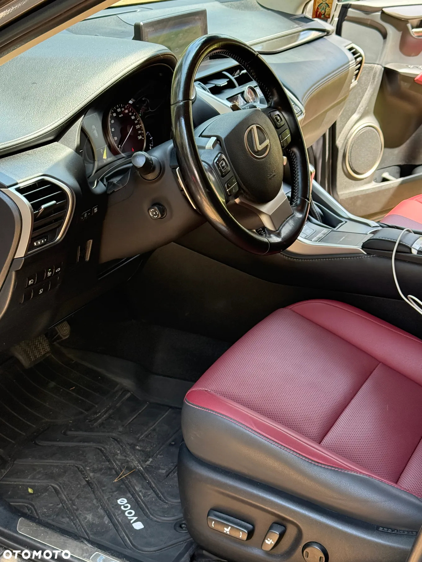 Lexus NX - 10