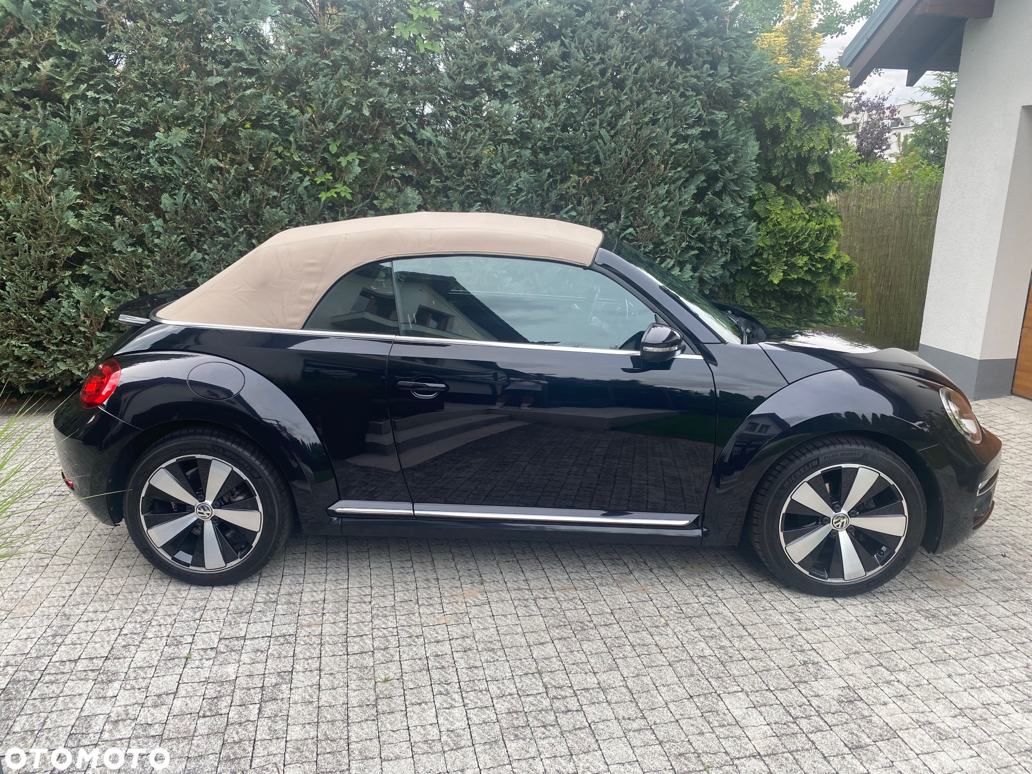 Volkswagen Beetle - 12