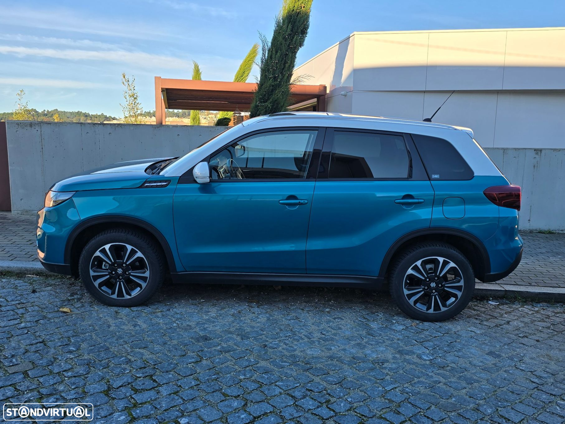 Suzuki Vitara - 21